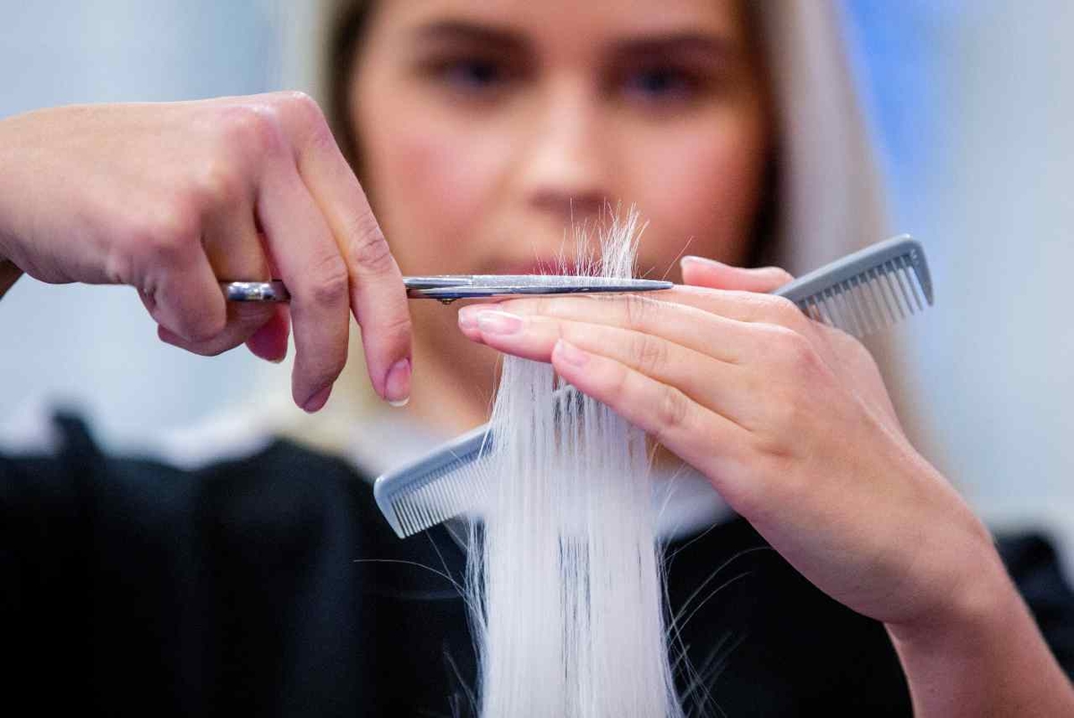 Ett UF-företag med elever som går sista året på gymnasiet har gjort succé. De har blivit nerringda av äldre efter att ha börjat göra hembesök med sin populära tjänst.