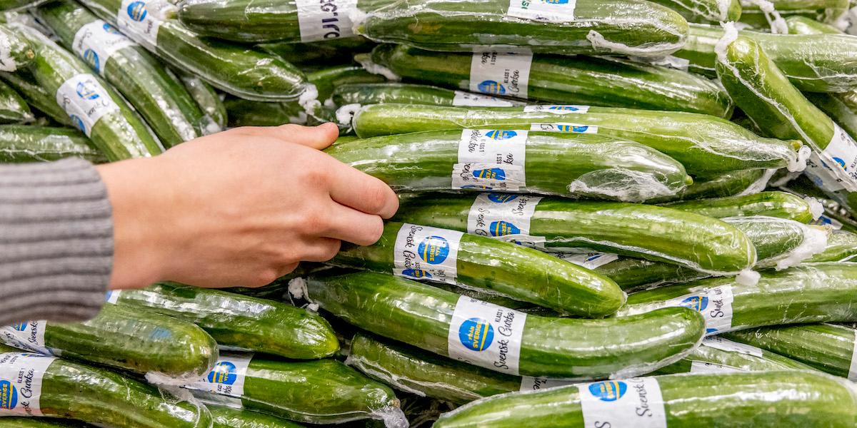 Inplastade gurkor i en butik. Gurka inslagen i plast kan snart vara ett minna blott när du handlar för nu kan det svenska startup-bolaget Saveggys nya uppfinning skydda grönsakerna i stället.