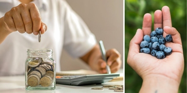 En man sparar och en hand med blåbär. Sparar du för mycket eller lagom? Köper du frysta blåbär i stället för färska, fast att du har råd med de färska, som är godare?